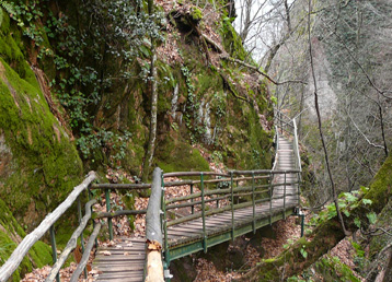 Rastenbachklamm im Altenburger Wald